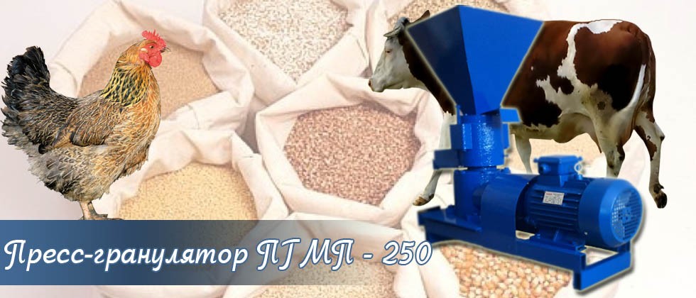 Пресс-гранулятор ПГМП - 250