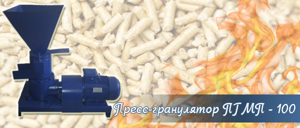 Пресс-гранулятор ПГМП - 100